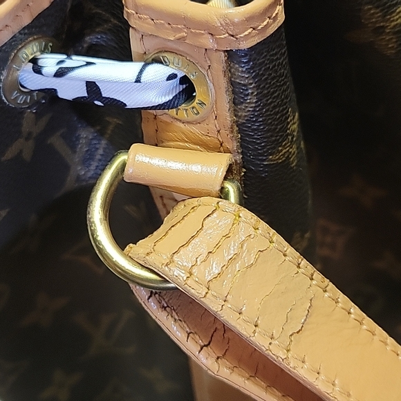 Guaranteed Authentic Louis Vuitton Large Bucket Noe GM - Picture 15 of 16